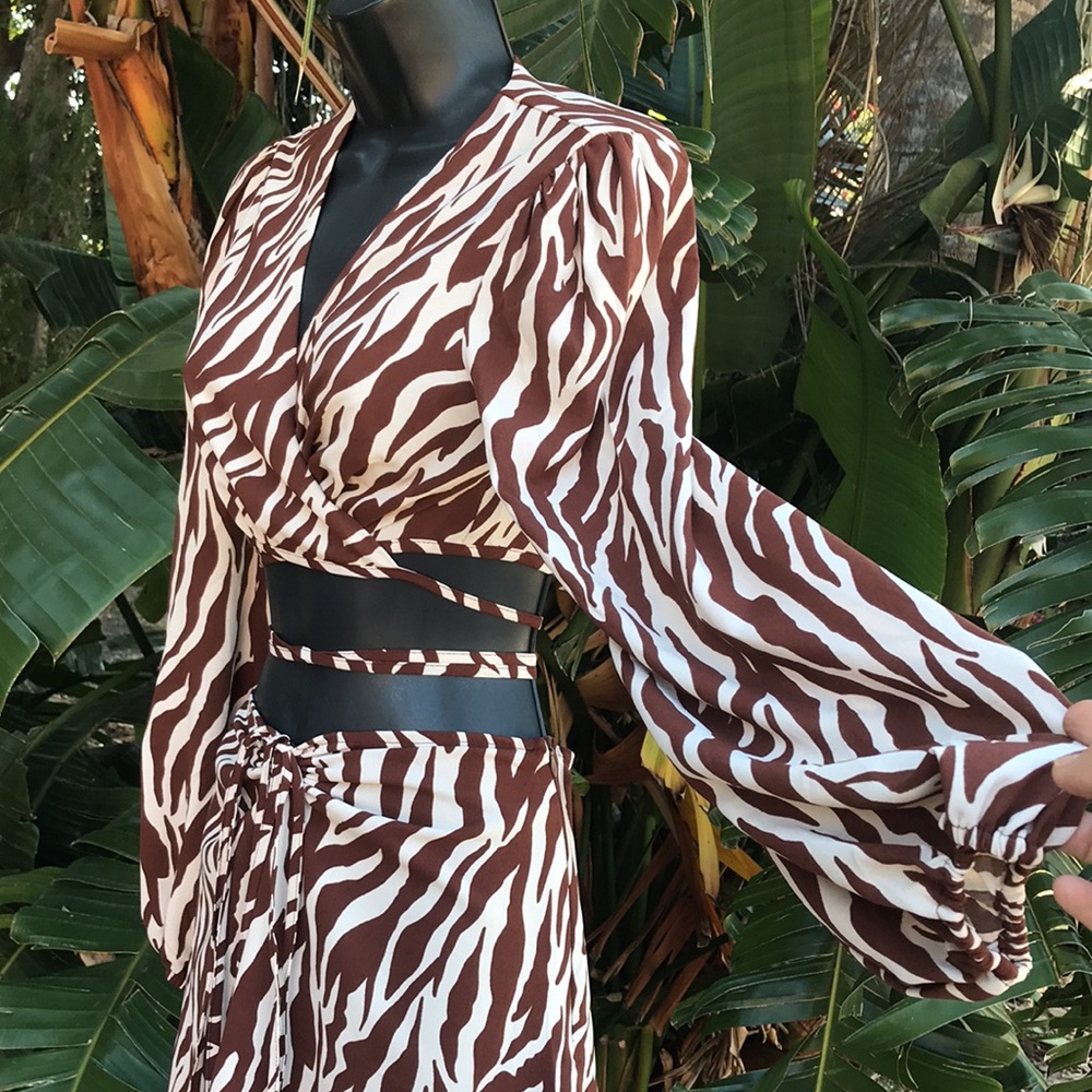 two piece zebra print skirt set